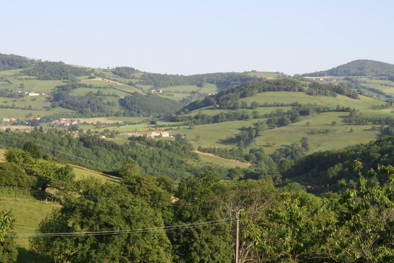 Le Clos Du Jubin Tarare Buitenkant foto
